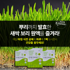 간청고비당 플러스 3일 체험분(3팩) 뿌리까지 통째로 발효한 새삭보리 원액